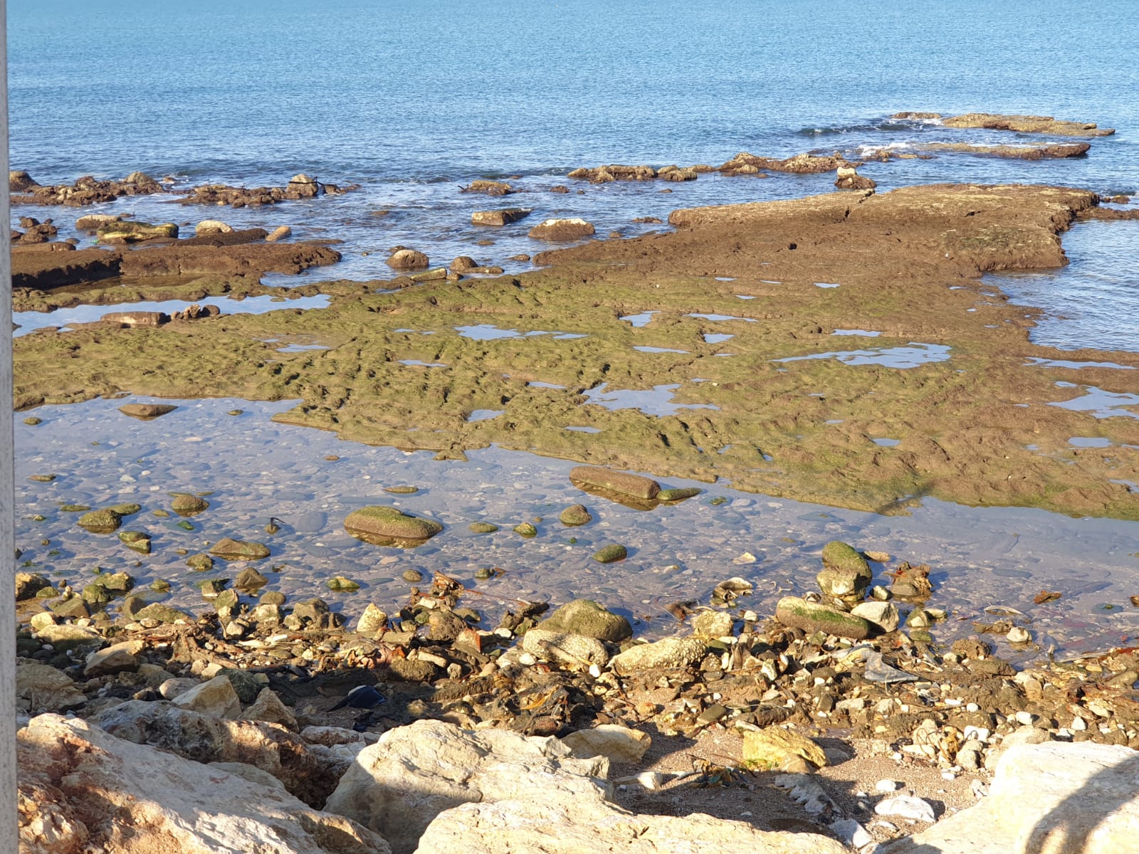 WhatsApp Image 2020-01-27 at 9.00.31 AM.jpeg.jpeg